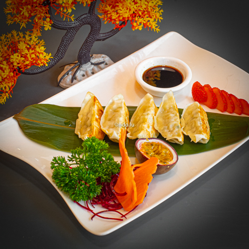 Gyoza au poulet
